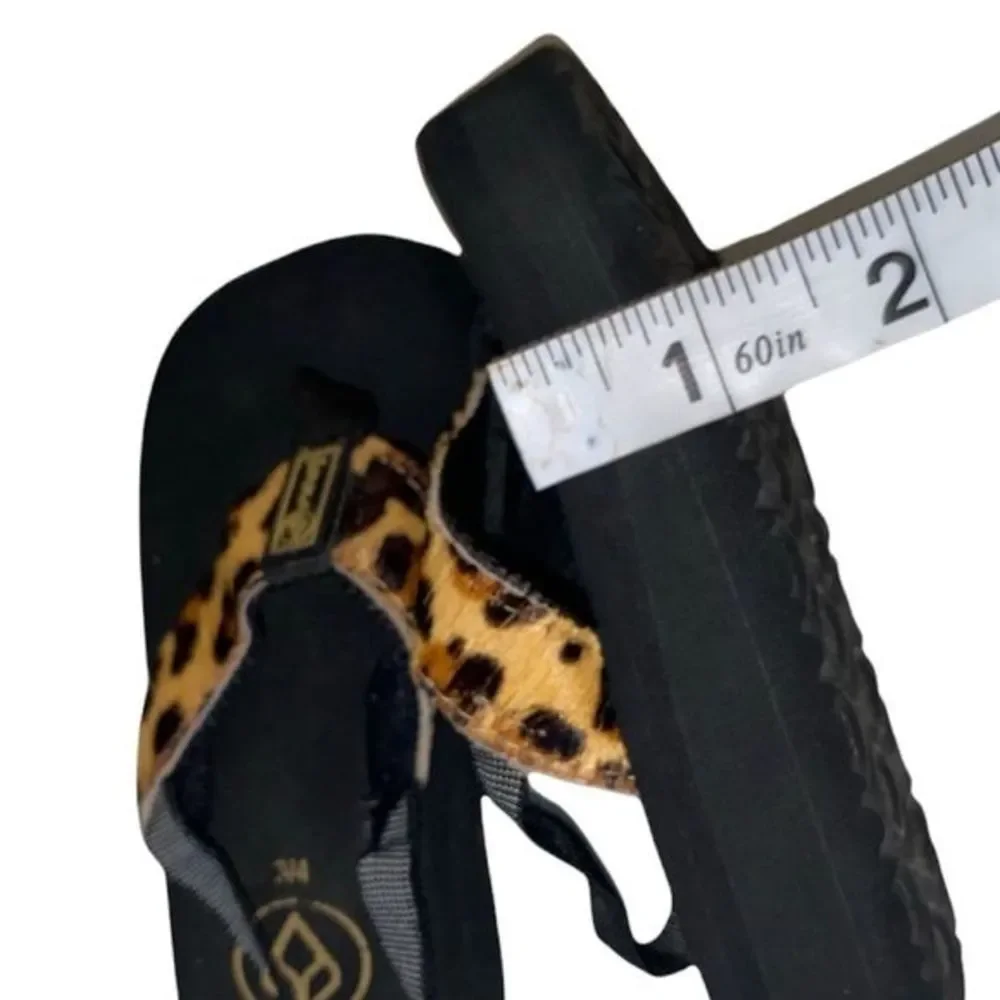 infant cheetah reefs platforms